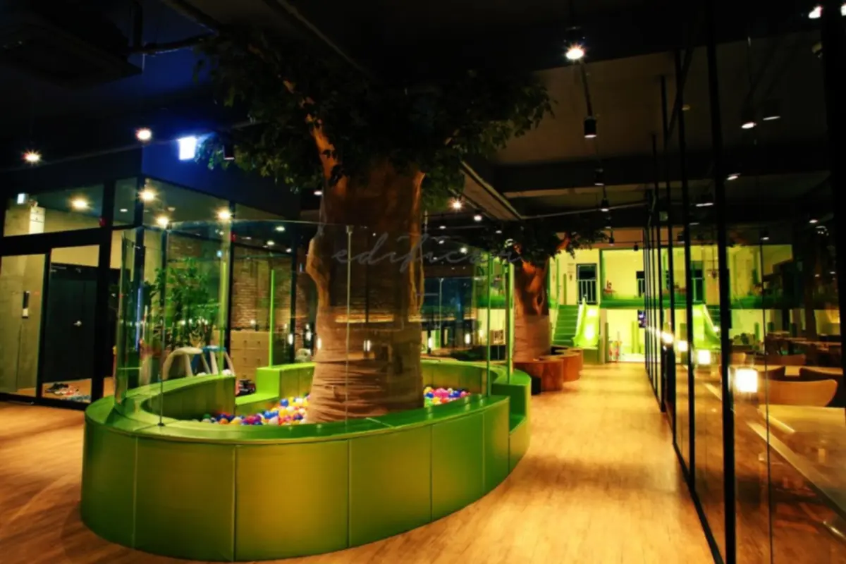 나무 둘레 볼풀장이 있는 자연친화 키즈카페